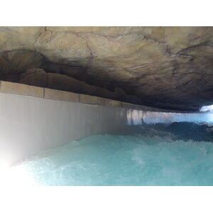 照片 阿联酋(United Arab Emirates) 迪拜(Dubai) 迪拜水世界(Dubai Aquaventure) 2012-01 5