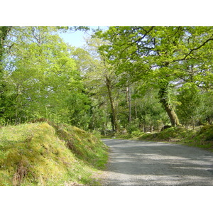 照片 爱尔兰(Ireland) 凯里郡(Kerry) 卡拉湖(Caragh Lake) 2004-05 26