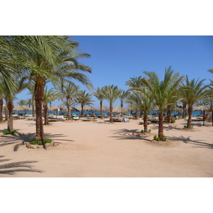 照片 埃及(Egypt) 沙姆沙伊赫(Sharm el Sheikh) 2008-06 34