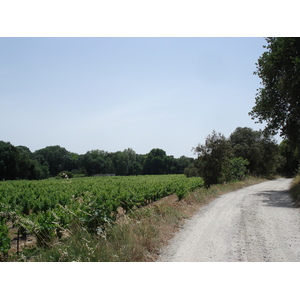 照片 法国(France) 索米耶尔(Sommieres) 2006-06 0