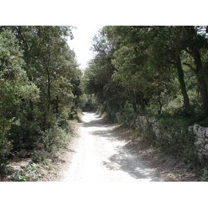 照片 法国(France) 索米耶尔(Sommieres) 2006-06 6