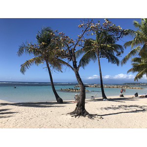 照片 瓜德罗普(Guadeloupe) 圣安妮(Sainte Anne) 2021-02 77