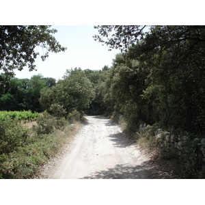 照片 法国(France) 索米耶尔(Sommieres) 2006-06 33