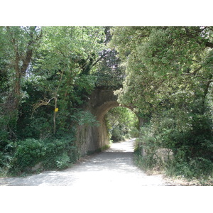 照片 法国(France) 索米耶尔(Sommieres) 2006-06 18