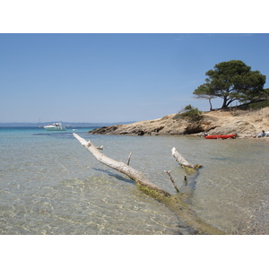 照片 法国(France) 波克罗勒岛(Porquerolles Island) 2006-06 69