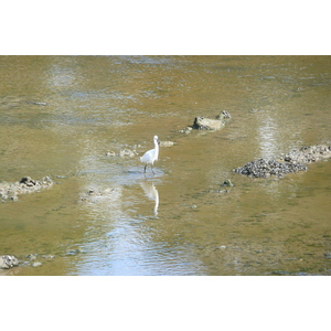 照片 法国(France) 蓬拉贝(Pont l'abbe) 2008-07 3
