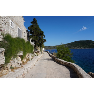 照片 克罗地亚(Croatia) 普里莫什滕(Primosten) 2016-04 4