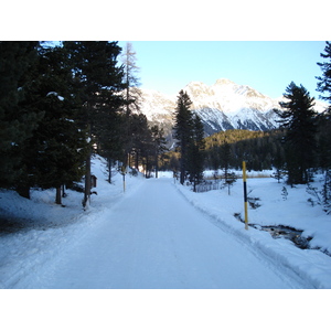 照片 瑞士(Switzerland) 圣莫里茨施拉里尼亚(St Moritz Schlarigna) 2007-01 69