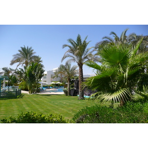 照片 埃及(Egypt) 沙姆沙伊赫(Sharm el Sheikh) 2008-06 7