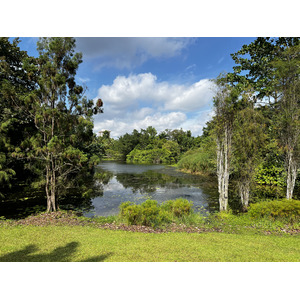 照片 新加坡(Singapore) 新加坡植物园(Singapore Botanic Gardens) 2023-01 51