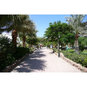 照片 埃及(Egypt) 沙姆沙伊赫(Sharm el Sheikh) 2008-06 83