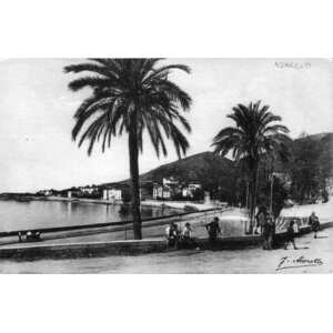 照片 法国(France) 科西嘉岛(Corsica) 老明信片(Old Postcards) 1900-01 307