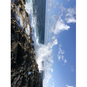 照片 瓜德罗普(Guadeloupe) 城堡角(Castle Point) 2021-02 238