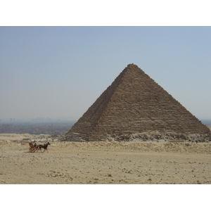 照片 埃及(Egypt) 吉萨金字塔(Giza Pyramids) 2004-09 24