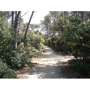 照片 法国(France) 波克罗勒岛(Porquerolles Island) 2006-06 1