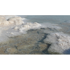 照片 以色列(Israel) 埃因博克(Boqeq) 2007-06 145