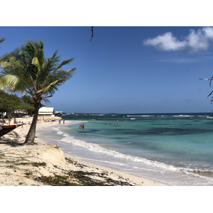 照片 瓜德罗普(Guadeloupe) 圣弗朗索瓦(Saint Francois) 2021-02 27