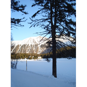 照片 瑞士(Switzerland) 圣莫里茨施拉里尼亚(St Moritz Schlarigna) 2007-01 94