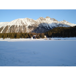 照片 瑞士(Switzerland) 圣莫里茨施拉里尼亚(St Moritz Schlarigna) 2007-01 85