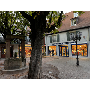 照片 法国(France) 科尔马(Colmar) 2023-10 25