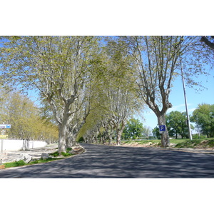 照片 法国(France) 博凯尔(Beaucaire) 2008-04 28