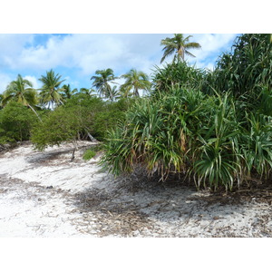 照片 斐济(Fiji) 漂流者岛(Castaway Island) 2010-05 128