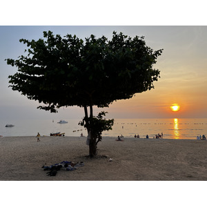 照片 泰国(Thailand) 芭提雅(Pattaya) 2023-01 81