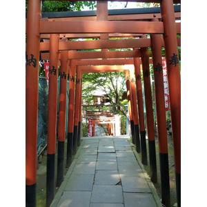 照片 日本(Japan) 东京(Tokyo) 上野(Ueno) 2010-06 91