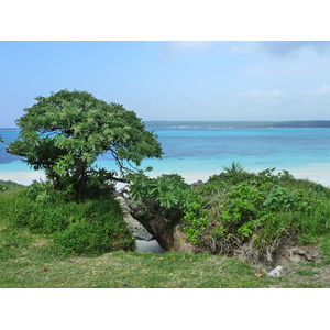 照片 新喀里多尼亚(New Caledonia) 利富岛(Lifou) 卢埃西拉(Luecilla) 2010-05 50