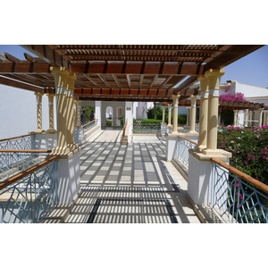 照片 埃及(Egypt) 沙姆沙伊赫(Sharm el Sheikh) 凯悦酒店(Hyatt Hotel) 2008-06 104