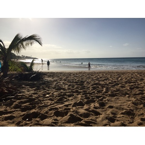 照片 瓜德罗普(Guadeloupe) 珍珠海滩(La Perle Beach) 2021-02 1