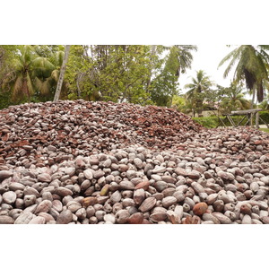 照片 塞舌尔(Seychelles) 2011-10 173