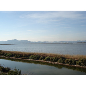 照片 法国(France) 波克罗勒岛(Porquerolles Island) 2006-06 79