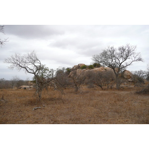 照片 南非(South Africa) 克鲁格国家公园(Kruger National Park) 2008-09 24