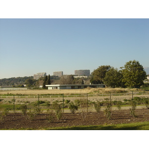 照片 法国(France) 滨海卡涅(Cagnes sur Mer) 2006-01 31