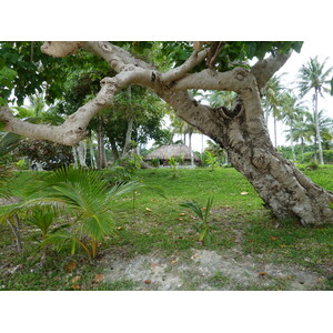 照片 新喀里多尼亚(New Caledonia) 松树岛(Ile des pins) 库托海滩(Kuto Beach) 2010-05 14