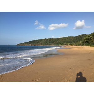 照片 瓜德罗普(Guadeloupe) 珍珠海滩(La Perle Beach) 2021-02 37