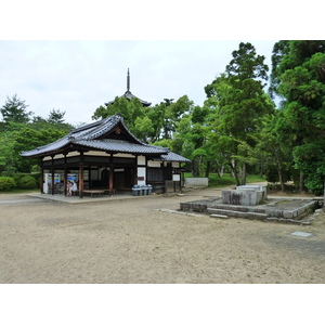 照片 日本(Japan) 京都(Kyoto) 仁和寺(Ninna ji Temple) 2010-06 22