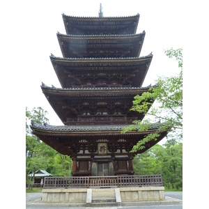 照片 日本(Japan) 京都(Kyoto) 仁和寺(Ninna ji Temple) 2010-06 29
