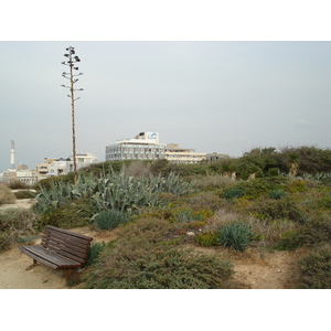 照片 以色列(Israel) 特拉维夫(Tel Aviv) 特拉维夫海岸(Tel Aviv Sea Shore) 2006-12 100
