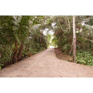照片 塞舌尔(Seychelles) 拉迪格岛(La Digue) 2011-10 202