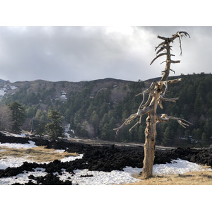 照片 意大利(Italy) 西西里岛(Sicily) 埃特纳火山(Etna) 2020-02 28