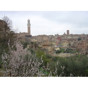 照片 意大利(Italy) 锡耶纳(Siena) 2004-03 43