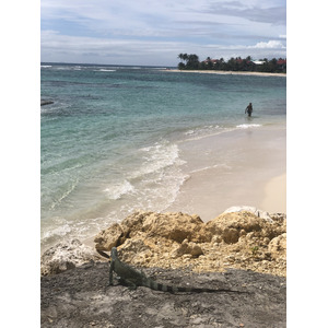 照片 瓜德罗普(Guadeloupe) 圣弗朗索瓦(Saint Francois) 2021-02 12