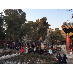 照片 中国(China) 北京(Beijing) 紫禁城(Forbidden City) 2015-12 152