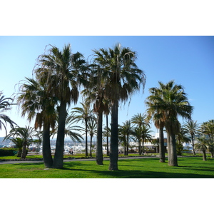 照片 法国(France) 戛纳(Cannes) 皮埃尔·康托港(Port Pierre Canto) 2008-05 50