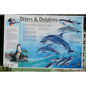 照片 南非(South Africa) 自然谷(Nature's Valley) 2008-09 25