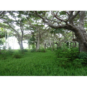 照片 新喀里多尼亚(New Caledonia) 松树岛(Ile des pins) 库托海滩(Kuto Beach) 2010-05 7