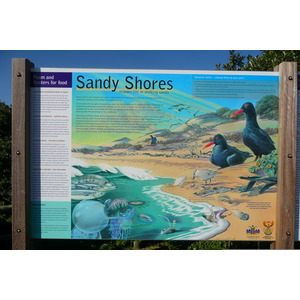 照片 南非(South Africa) 赫曼努斯(Harmanus) 2008-09 18