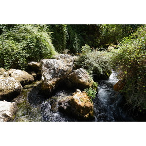 照片 法国(France) 沃克吕兹泉(Fontaine-de-Vaucluse) 2017-08 49